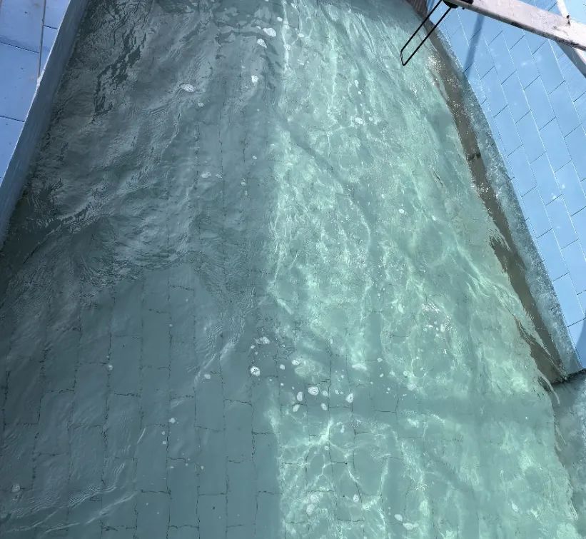 1699580240883695.jpg 1699580240883695.jpg